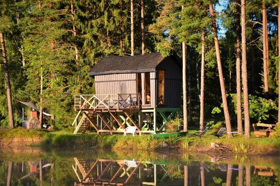 Dragon House In The Tree! Jacuzzi, Sauna ,Cinema,Heated Lici  المظهر الخارجي الصورة