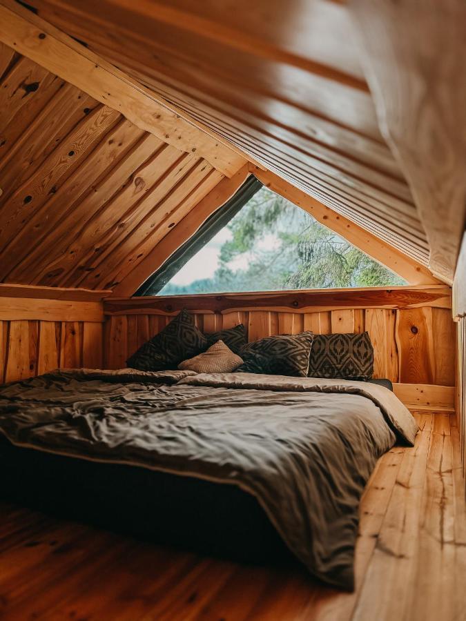 Dragon House In The Tree! Jacuzzi, Sauna ,Cinema,Heated Lici  المظهر الخارجي الصورة