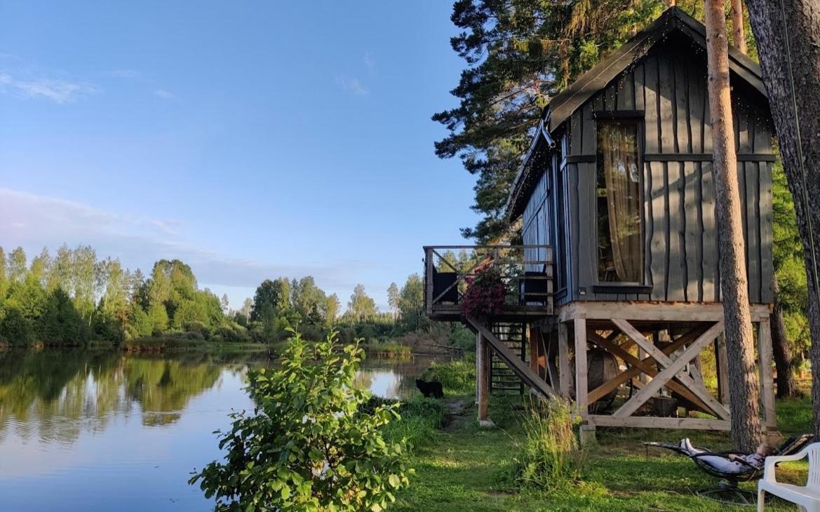 Dragon House In The Tree! Jacuzzi, Sauna ,Cinema,Heated Lici  المظهر الخارجي الصورة